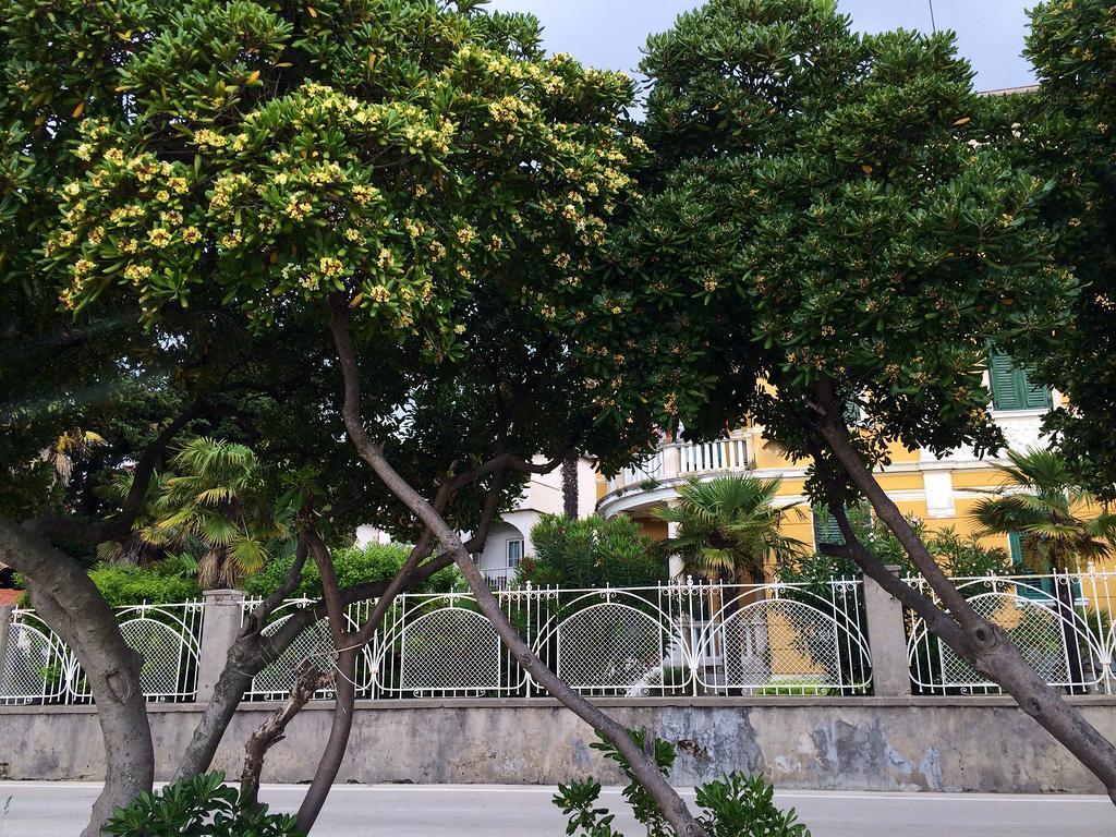 Secret Garden Apartment Zadar Bilik gambar
